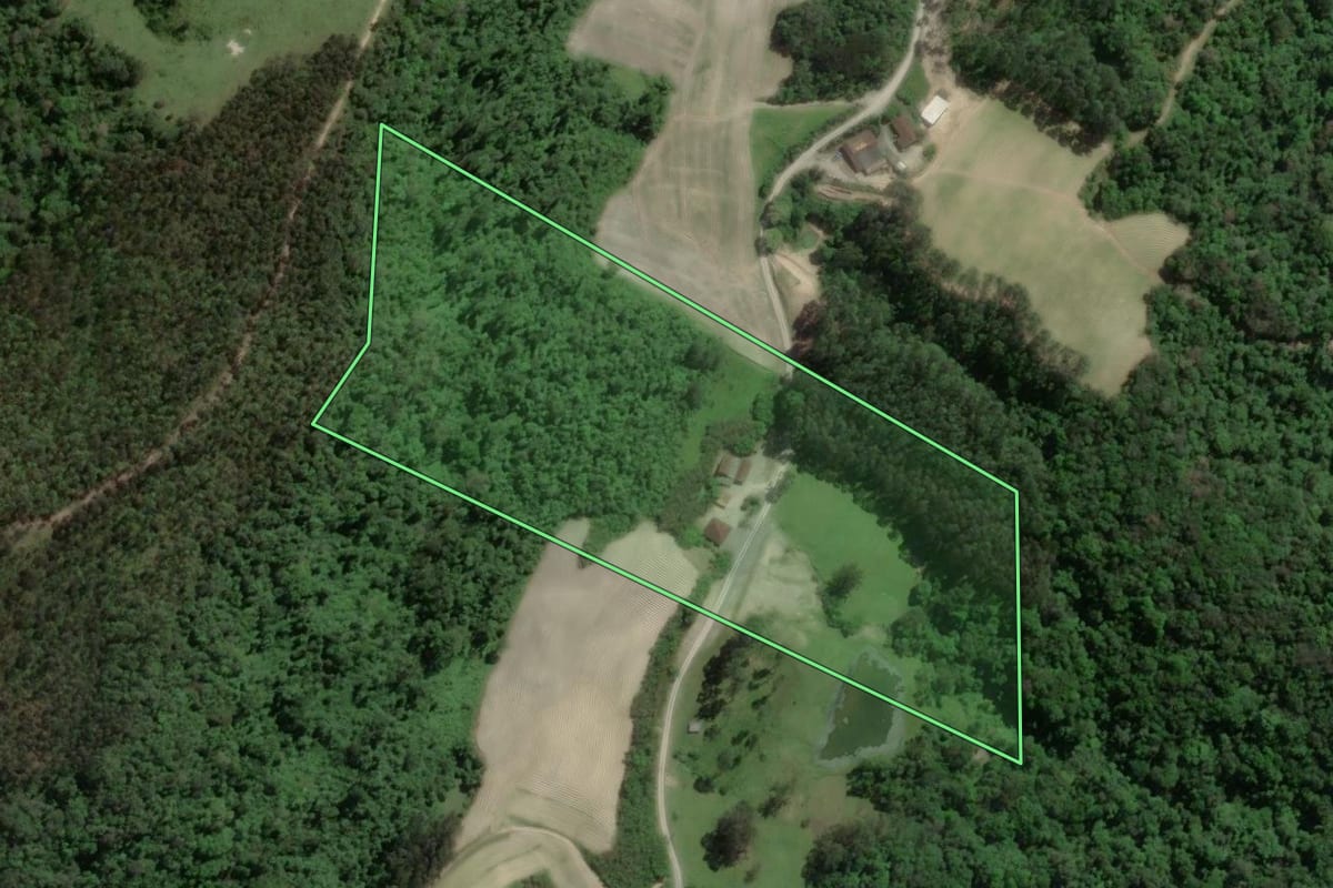 Imagem de satélite do imóvel rural em Petrolândia (SC), com o contorno declarado no CAR desenhado por cima.