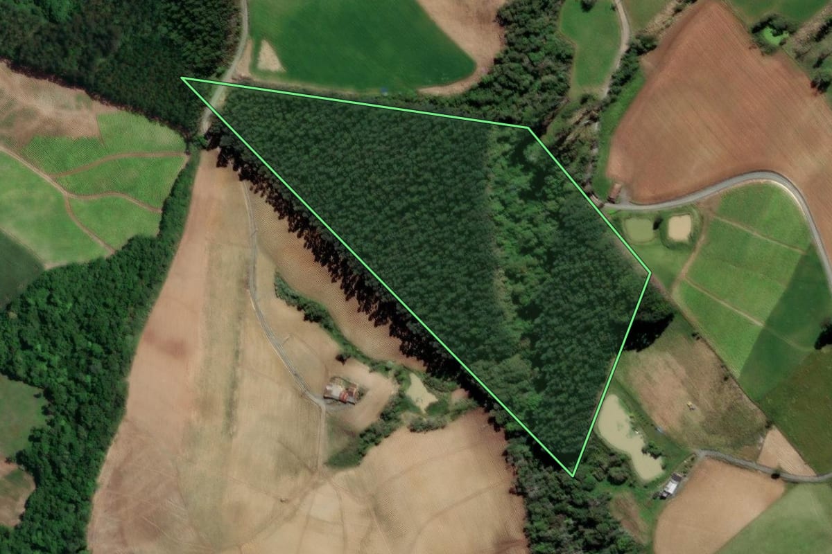 Imagem de satélite do imóvel rural em Petrolândia (SC), com o contorno declarado no CAR desenhado por cima.
