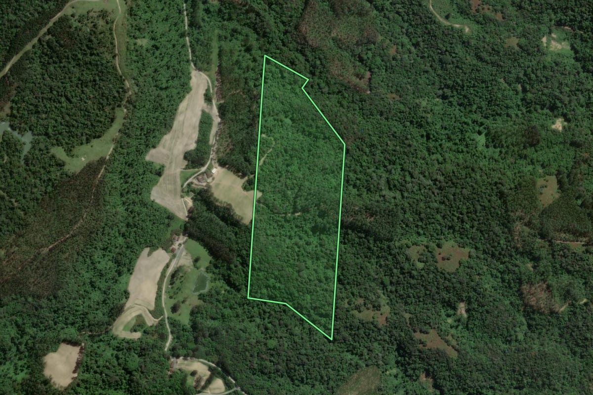 Imagem de satélite do imóvel rural em Petrolândia (SC), com o contorno declarado no CAR desenhado por cima.