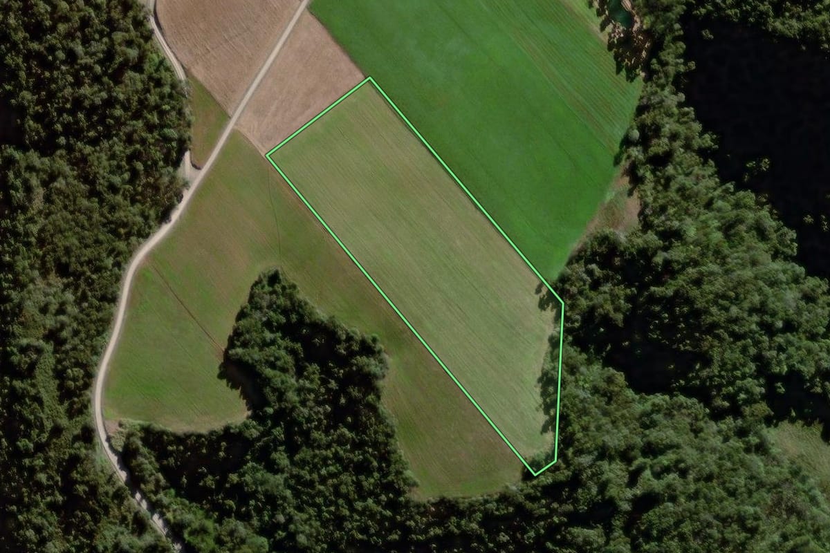 Imagem de satélite do imóvel rural em Petrolândia (SC), com o contorno declarado no CAR desenhado por cima.