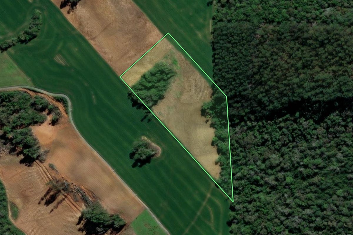 Imagem de satélite do imóvel rural em Petrolândia (SC), com o contorno declarado no CAR desenhado por cima.