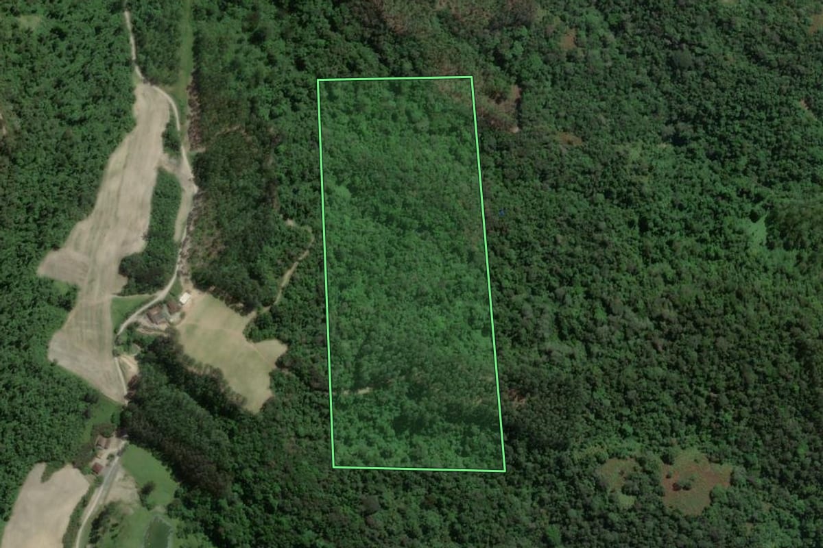 Imagem de satélite do imóvel rural em Petrolândia (SC), com o contorno declarado no CAR desenhado por cima.