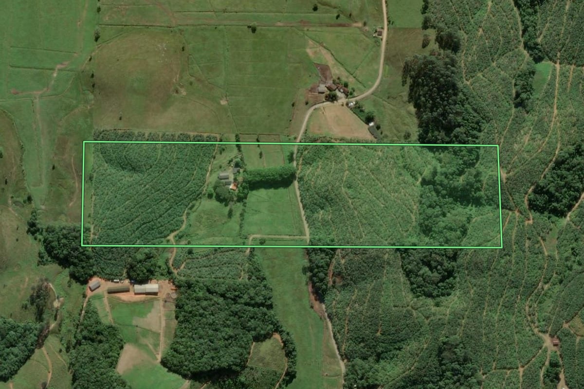 Imagem de satélite do imóvel rural em Balneário Piçarras (SC), com o contorno declarado no CAR desenhado por cima.