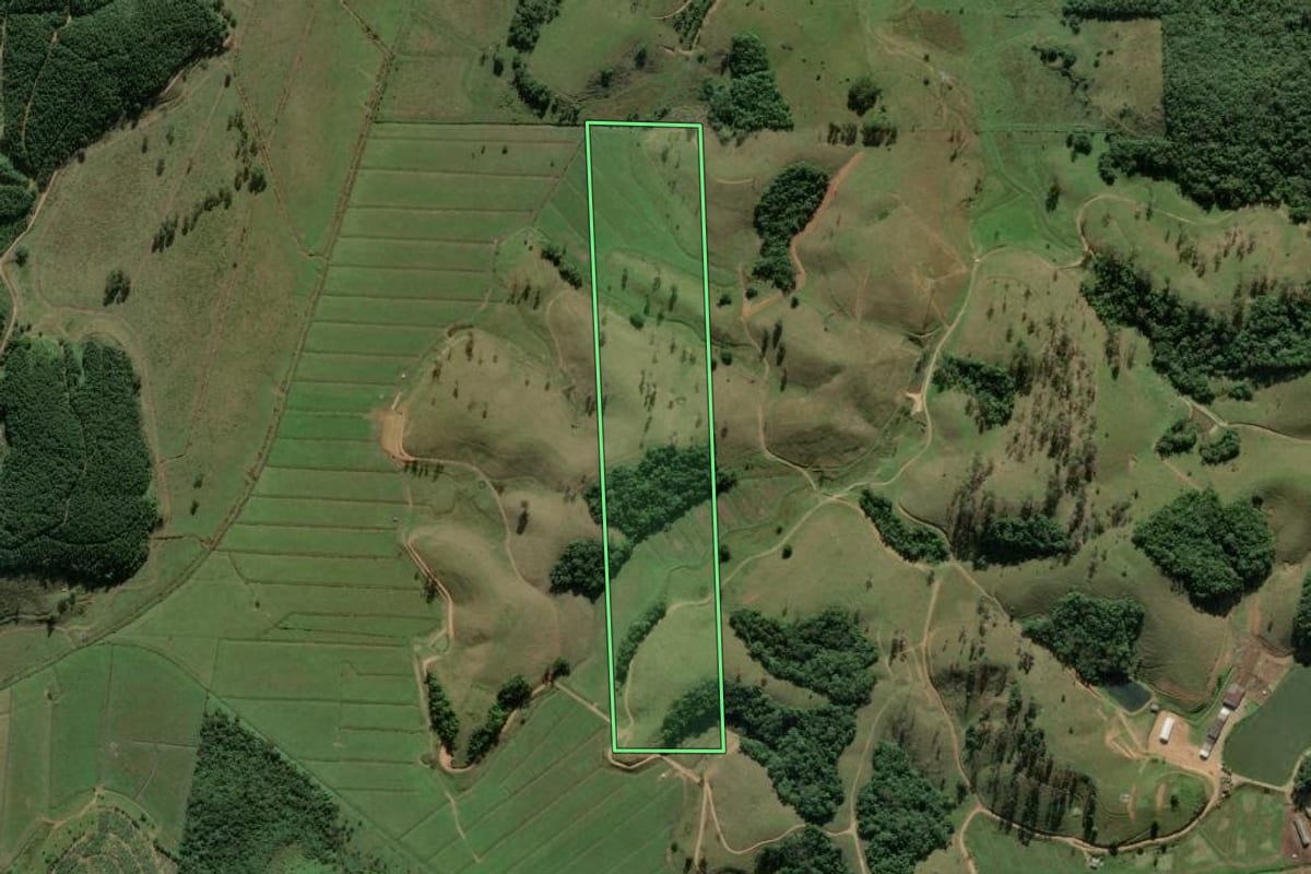 Imagem de satélite do imóvel rural em Balneário Piçarras (SC), com o contorno declarado no CAR desenhado por cima.