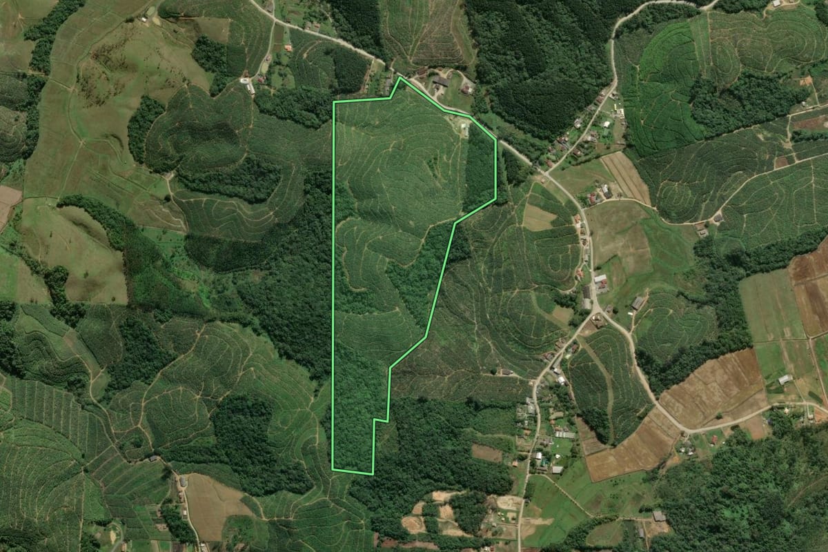 Imagem de satélite do imóvel rural em Balneário Piçarras (SC), com o contorno declarado no CAR desenhado por cima.