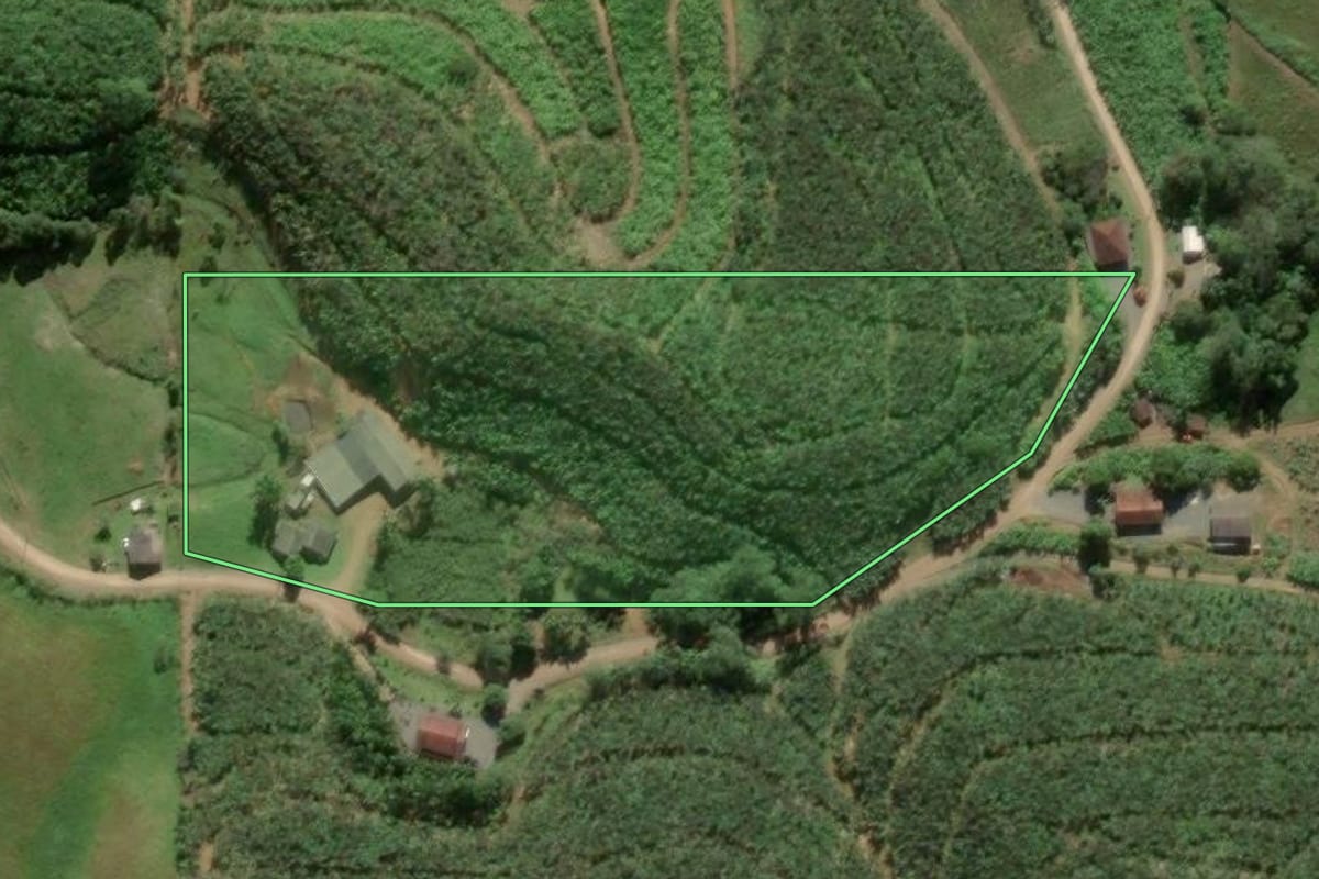 Imagem de satélite do imóvel rural em Balneário Piçarras (SC), com o contorno declarado no CAR desenhado por cima.