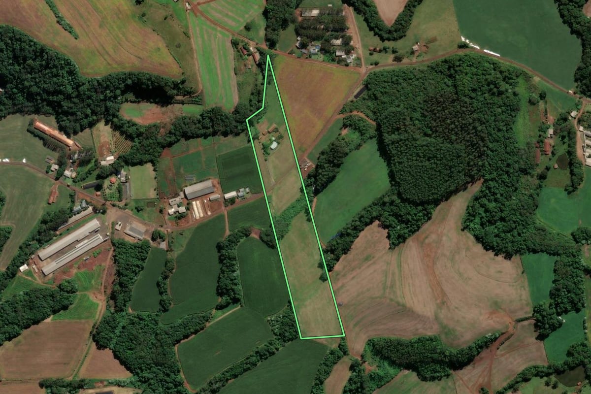 Imagem de satélite do imóvel rural em Pinhalzinho (SC), com o contorno declarado no CAR desenhado por cima.