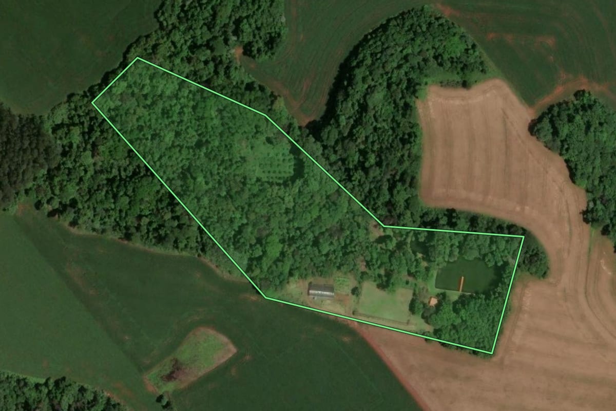 Imagem de satélite do imóvel rural em Pinhalzinho (SC), com o contorno declarado no CAR desenhado por cima.