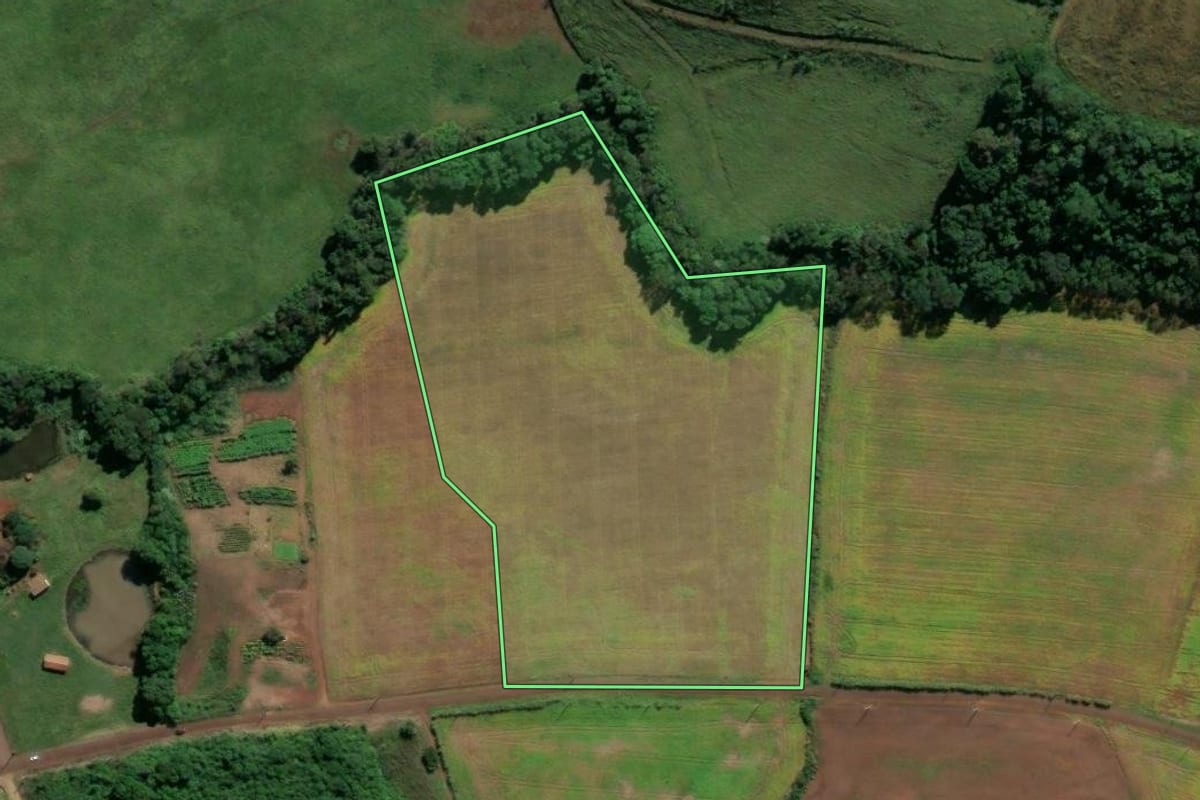 Imagem de satélite do imóvel rural em Pinhalzinho (SC), com o contorno declarado no CAR desenhado por cima.