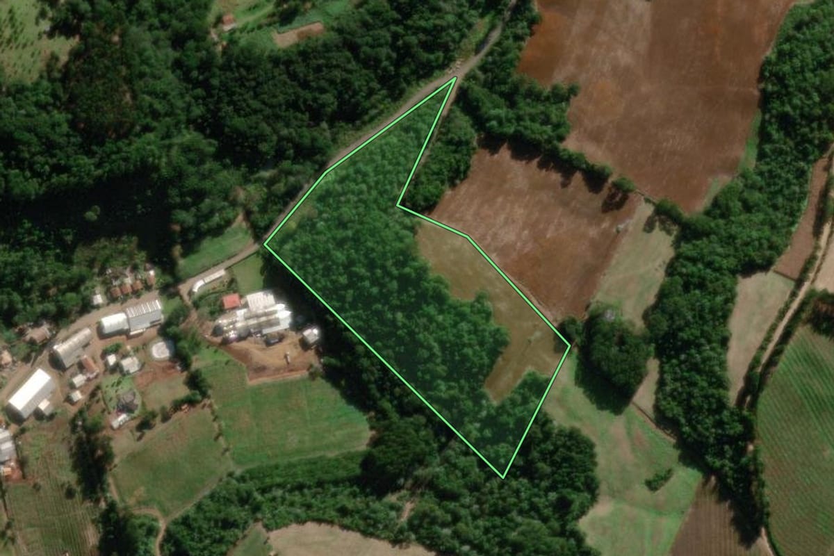 Imagem de satélite do imóvel rural em Pinheiro Preto (SC), com o contorno declarado no CAR desenhado por cima.
