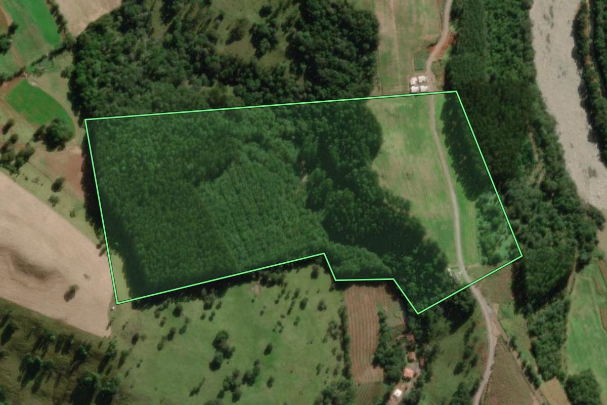 Imagem de satélite do imóvel rural em Pinheiro Preto (SC), com o contorno declarado no CAR desenhado por cima.