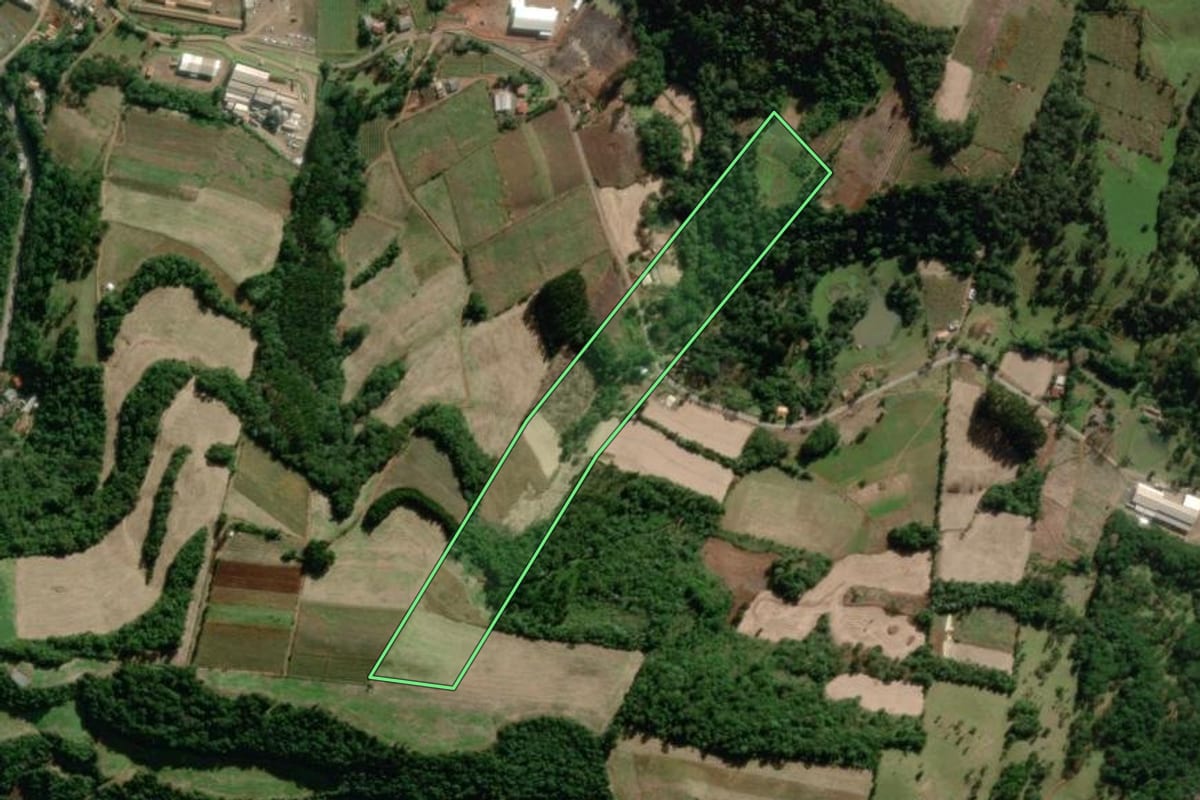 Imagem de satélite do imóvel rural em Pinheiro Preto (SC), com o contorno declarado no CAR desenhado por cima.