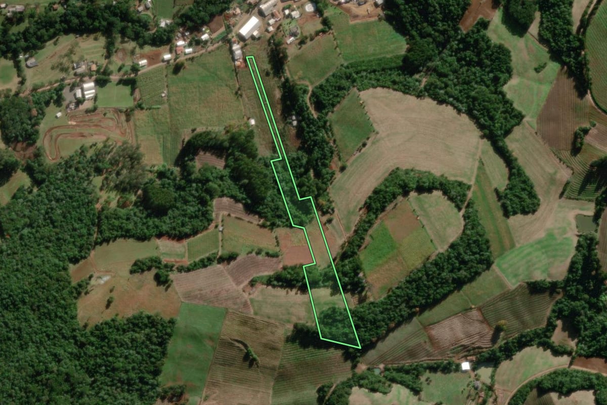 Imagem de satélite do imóvel rural em Pinheiro Preto (SC), com o contorno declarado no CAR desenhado por cima.