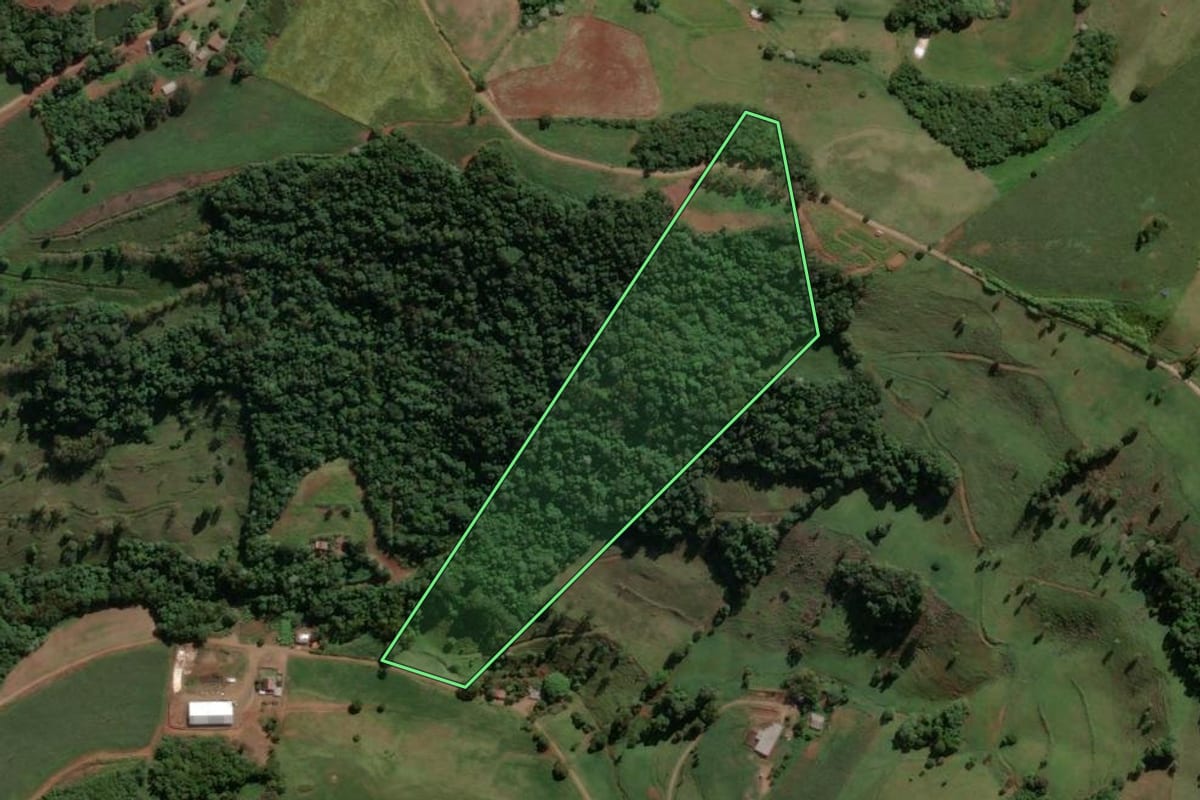 Imagem de satélite do imóvel rural em Piratuba (SC), com o contorno declarado no CAR desenhado por cima.