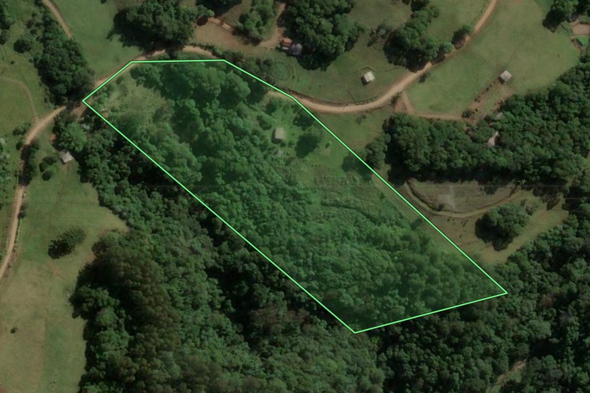 Imagem de satélite do imóvel rural em Piratuba (SC), com o contorno declarado no CAR desenhado por cima.