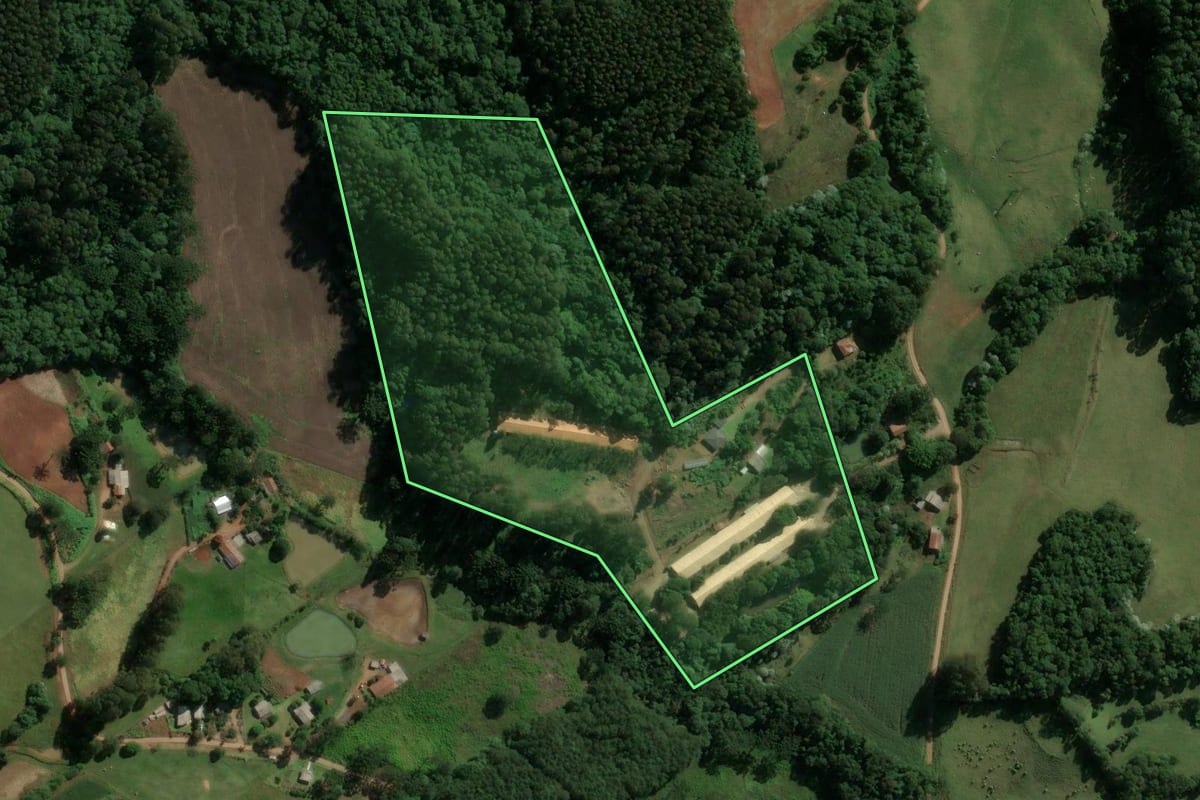 Imagem de satélite do imóvel rural em Piratuba (SC), com o contorno declarado no CAR desenhado por cima.