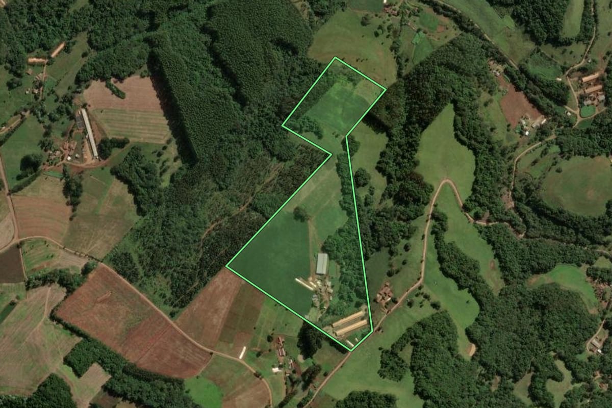 Imagem de satélite do imóvel rural em Piratuba (SC), com o contorno declarado no CAR desenhado por cima.