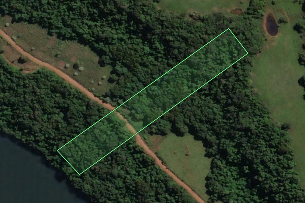 Imagem de satélite do imóvel rural em Piratuba (SC), com o contorno declarado no CAR desenhado por cima.