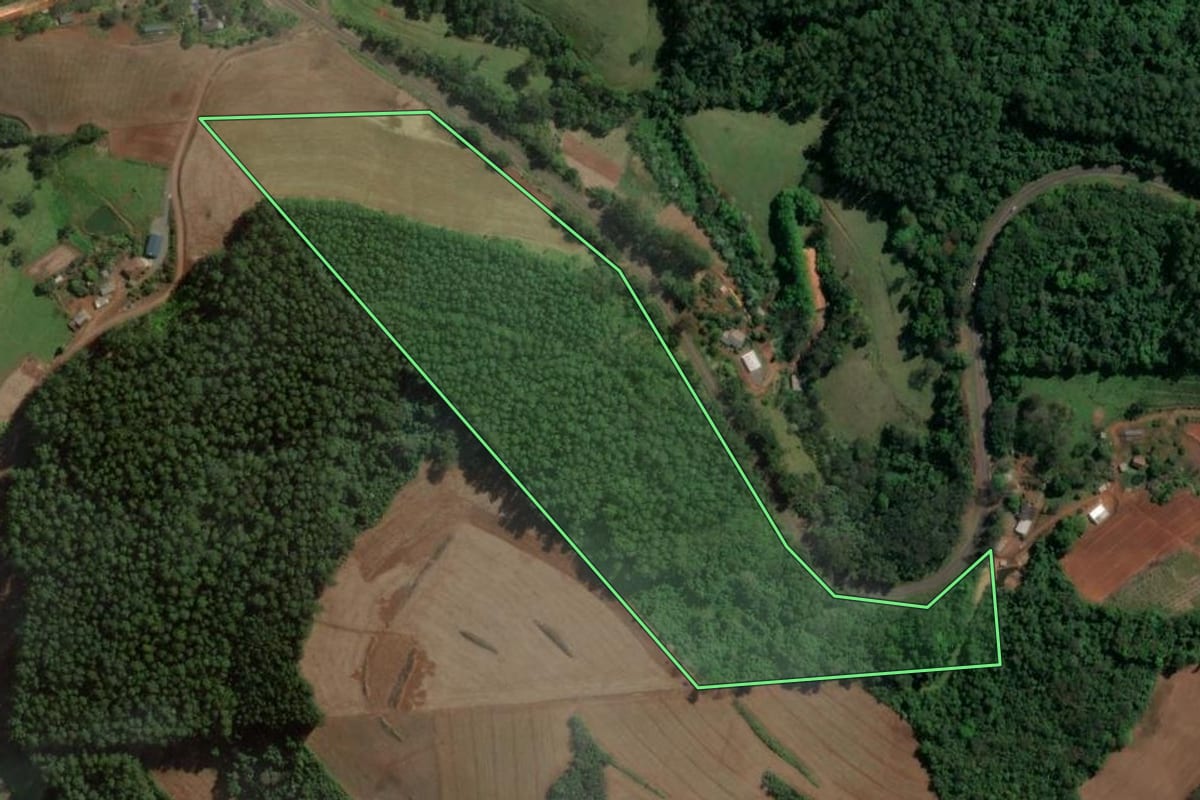 Imagem de satélite do imóvel rural em Planalto Alegre (SC), com o contorno declarado no CAR desenhado por cima.