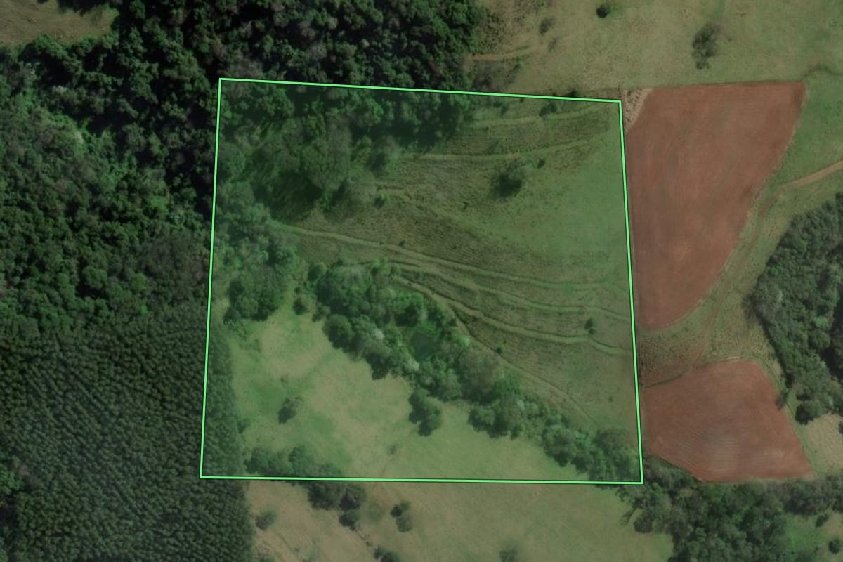 Imagem de satélite do imóvel rural em Planalto Alegre (SC), com o contorno declarado no CAR desenhado por cima.