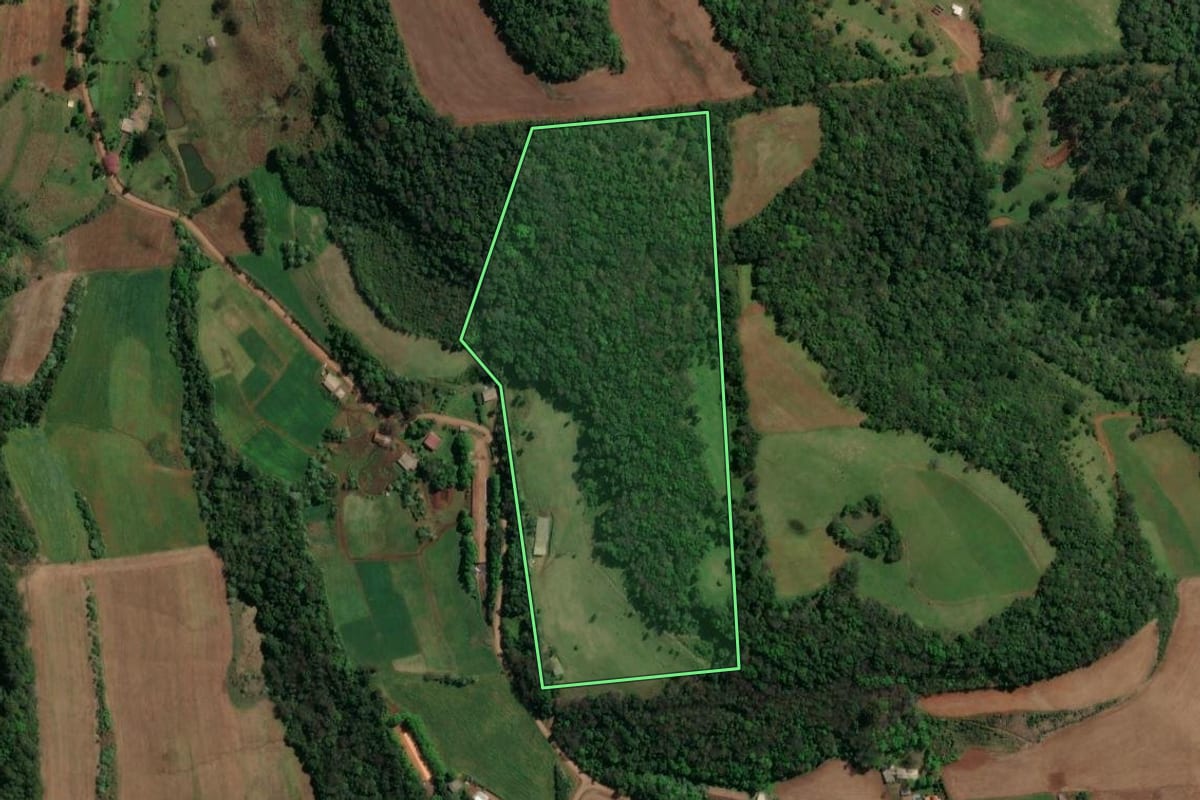 Imagem de satélite do imóvel rural em Planalto Alegre (SC), com o contorno declarado no CAR desenhado por cima.