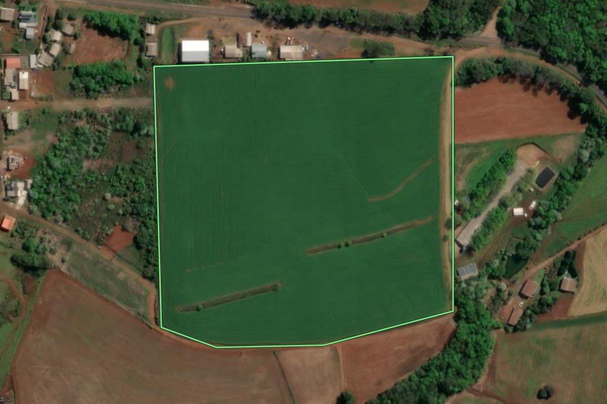Imagem de satélite do imóvel rural em Planalto Alegre (SC), com o contorno declarado no CAR desenhado por cima.