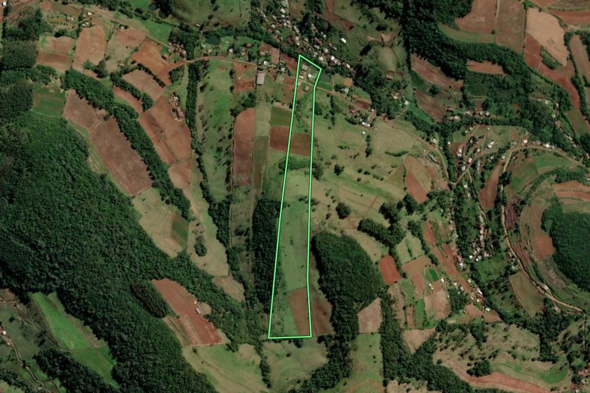 Imagem de satélite do imóvel rural em Planalto Alegre (SC), com o contorno declarado no CAR desenhado por cima.