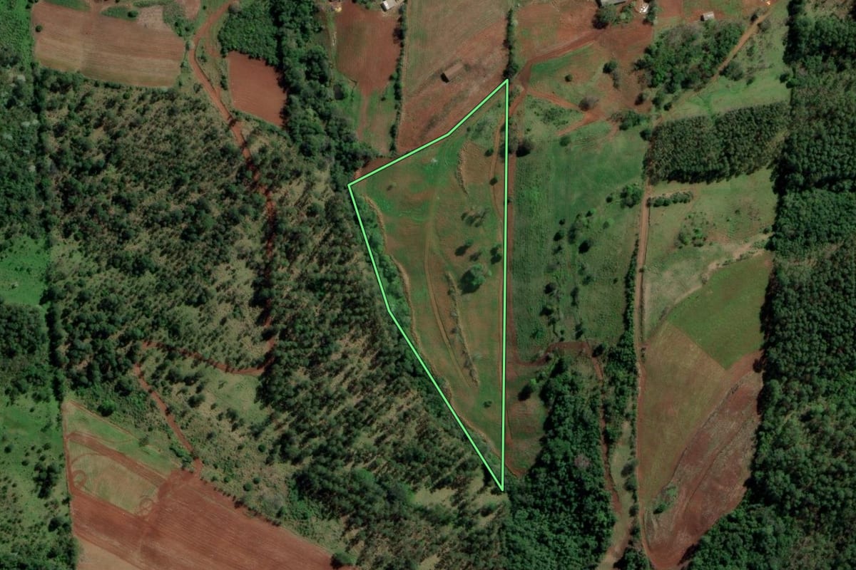 Imagem de satélite do imóvel rural em Planalto Alegre (SC), com o contorno declarado no CAR desenhado por cima.