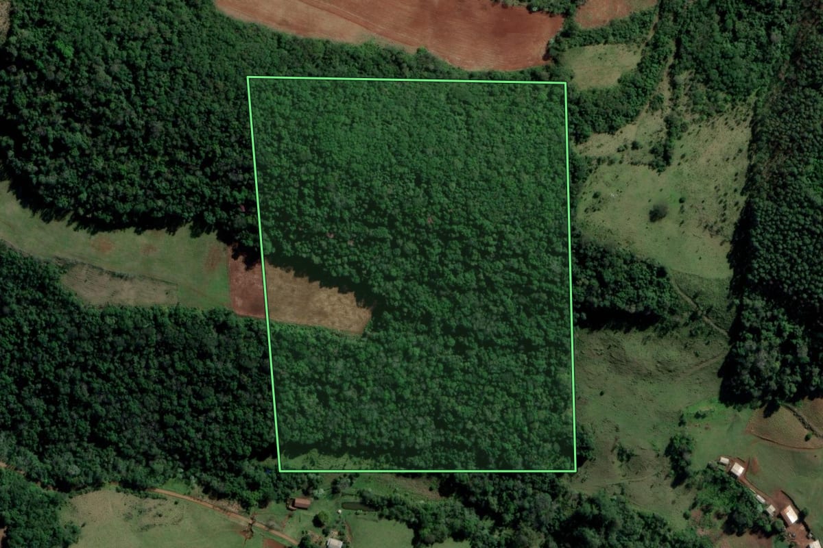 Imagem de satélite do imóvel rural em Planalto Alegre (SC), com o contorno declarado no CAR desenhado por cima.