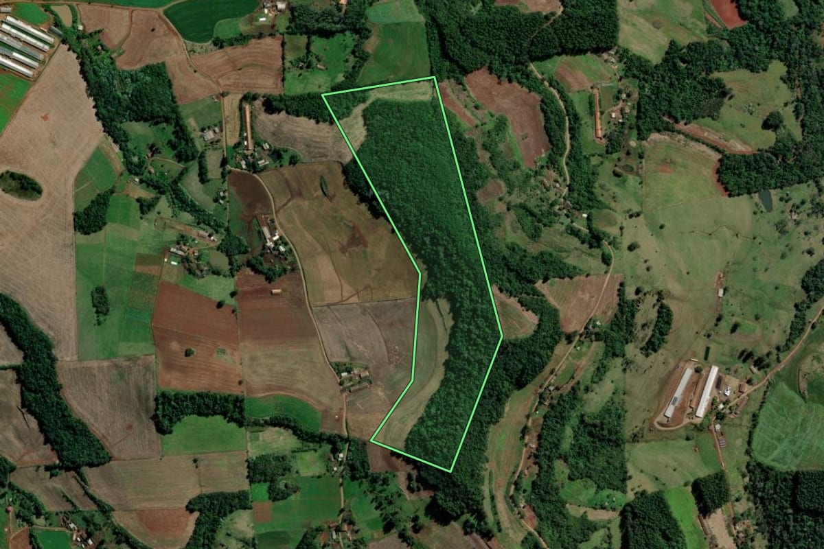 Imagem de satélite do imóvel rural em Planalto Alegre (SC), com o contorno declarado no CAR desenhado por cima.