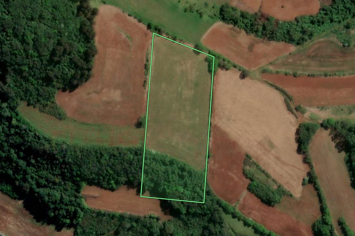 Imagem de satélite do imóvel rural em Planalto Alegre (SC), com o contorno declarado no CAR desenhado por cima.