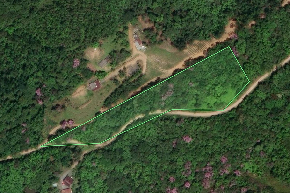 Imagem de satélite do imóvel rural em Pomerode (SC), com o contorno declarado no CAR desenhado por cima.