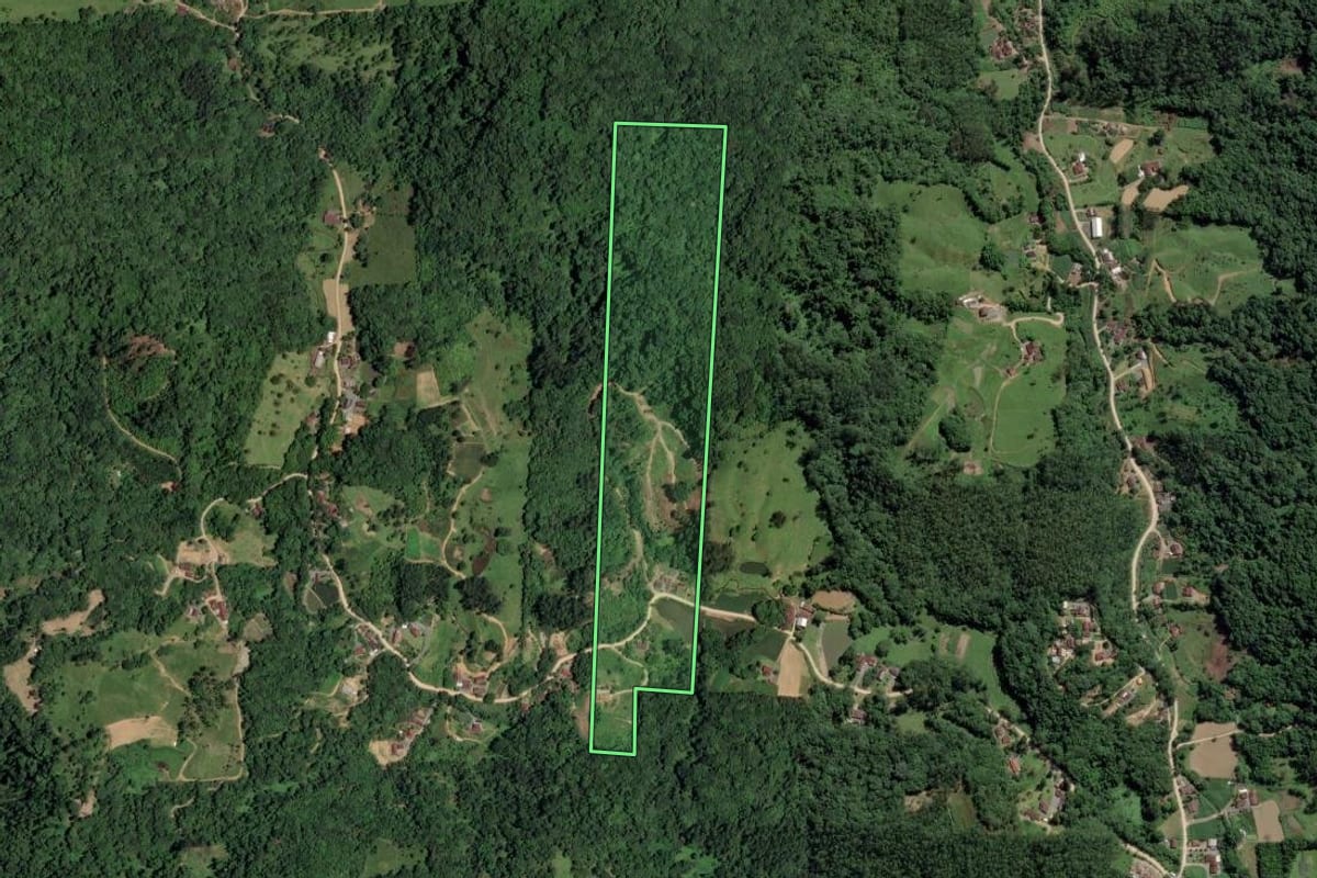 Imagem de satélite do imóvel rural em Pomerode (SC), com o contorno declarado no CAR desenhado por cima.