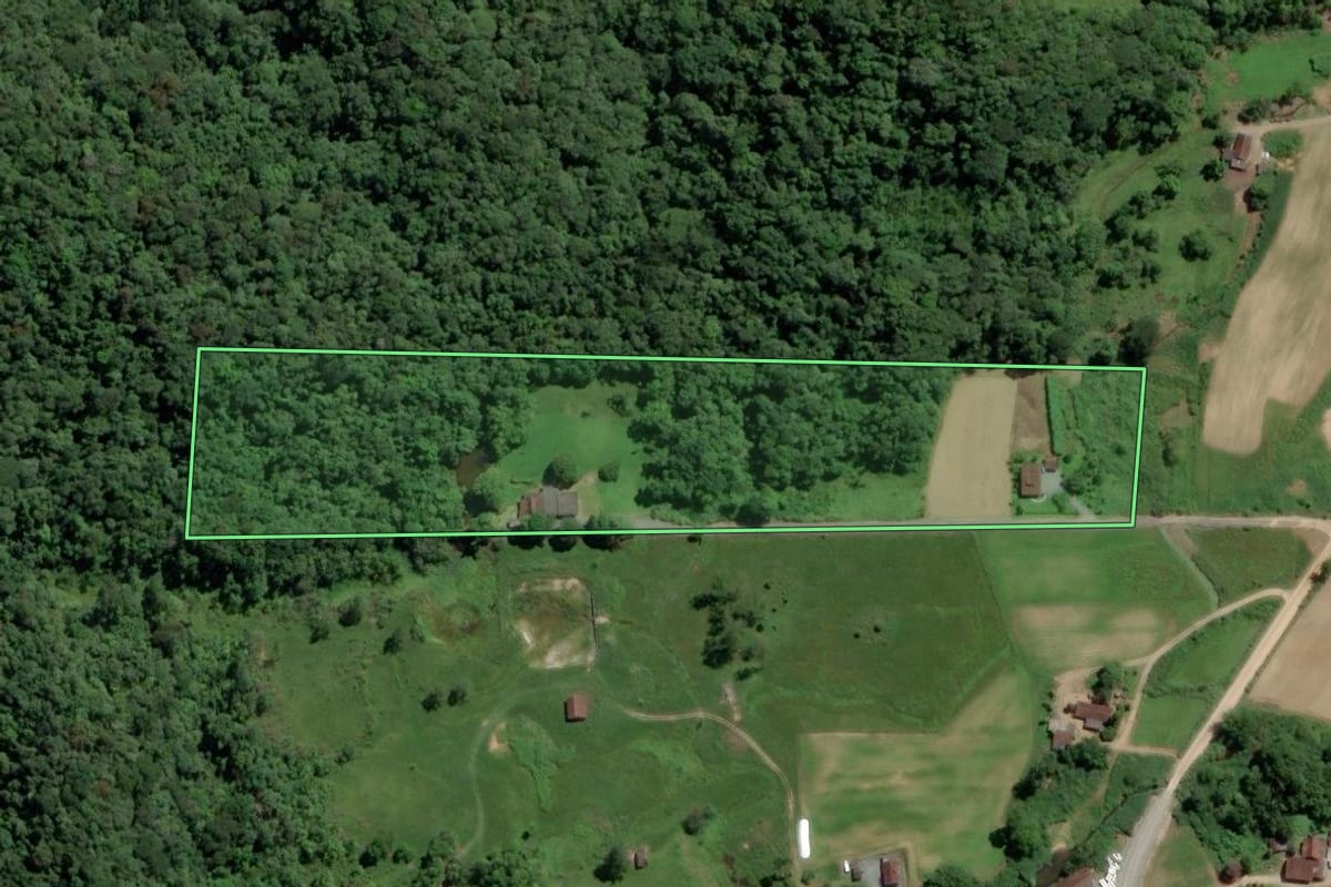 Imagem de satélite do imóvel rural em Pomerode (SC), com o contorno declarado no CAR desenhado por cima.