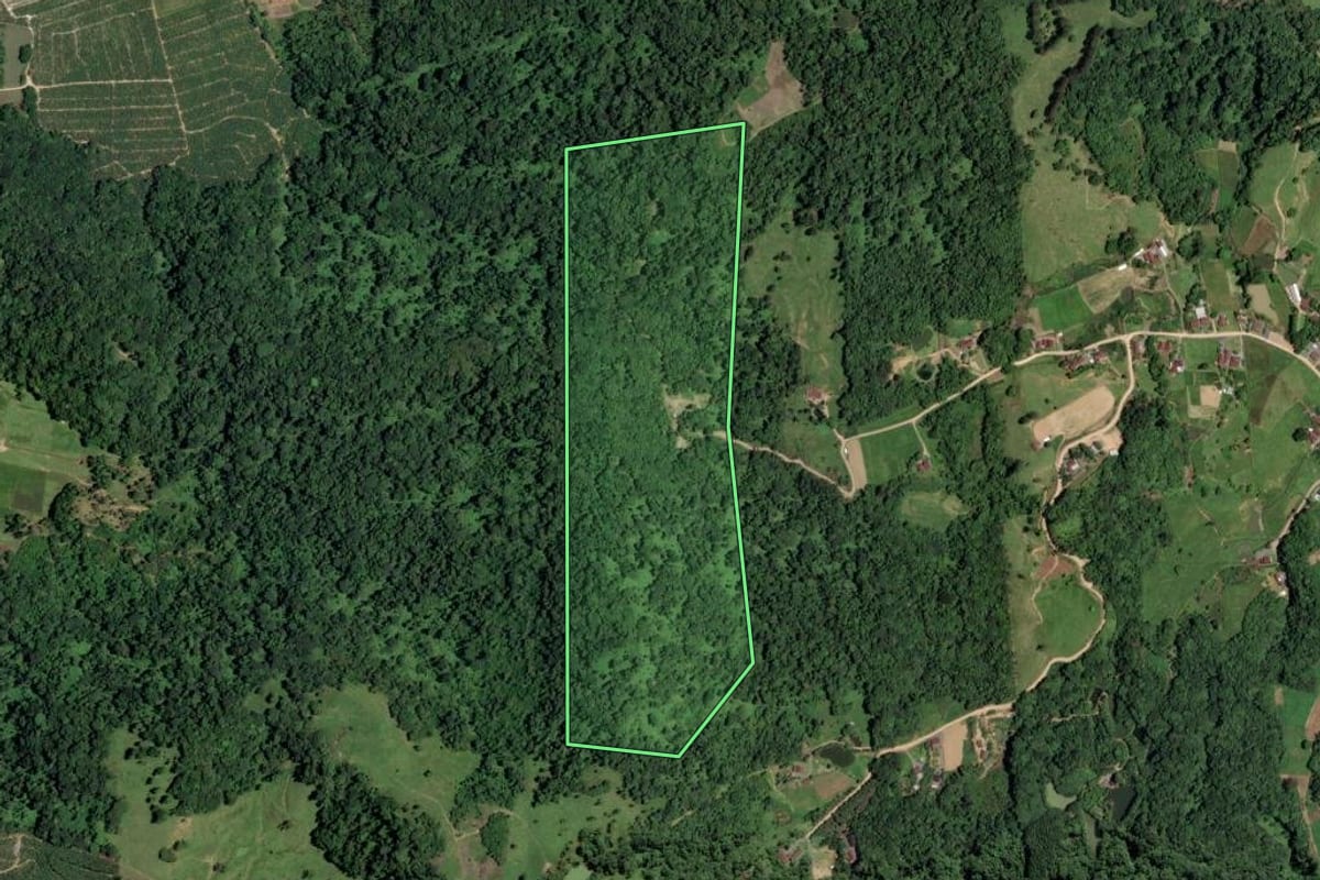 Imagem de satélite do imóvel rural em Pomerode (SC), com o contorno declarado no CAR desenhado por cima.