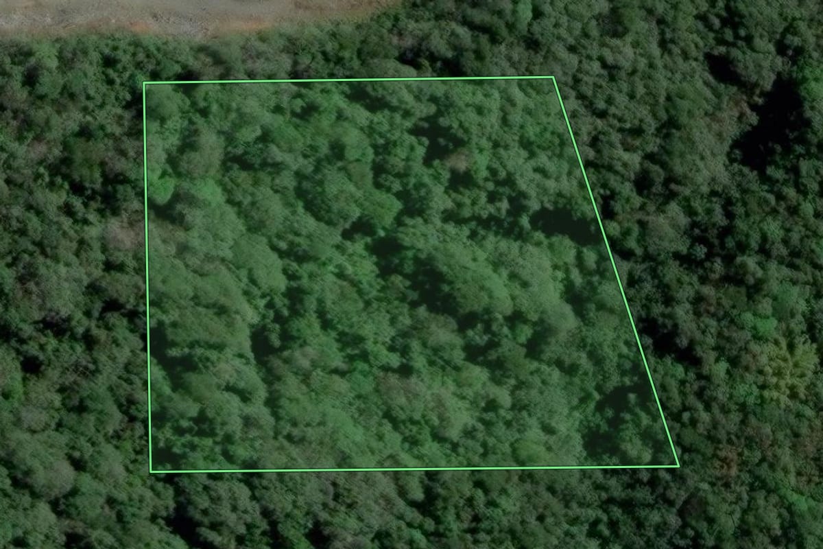 Imagem de satélite do imóvel rural em Pomerode (SC), com o contorno declarado no CAR desenhado por cima.