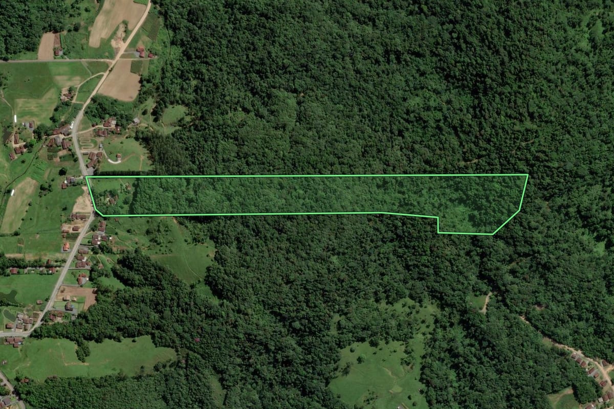 Imagem de satélite do imóvel rural em Pomerode (SC), com o contorno declarado no CAR desenhado por cima.