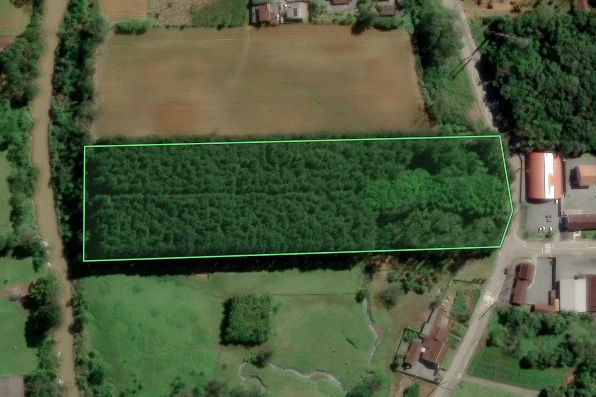 Imagem de satélite do imóvel rural em Pomerode (SC), com o contorno declarado no CAR desenhado por cima.