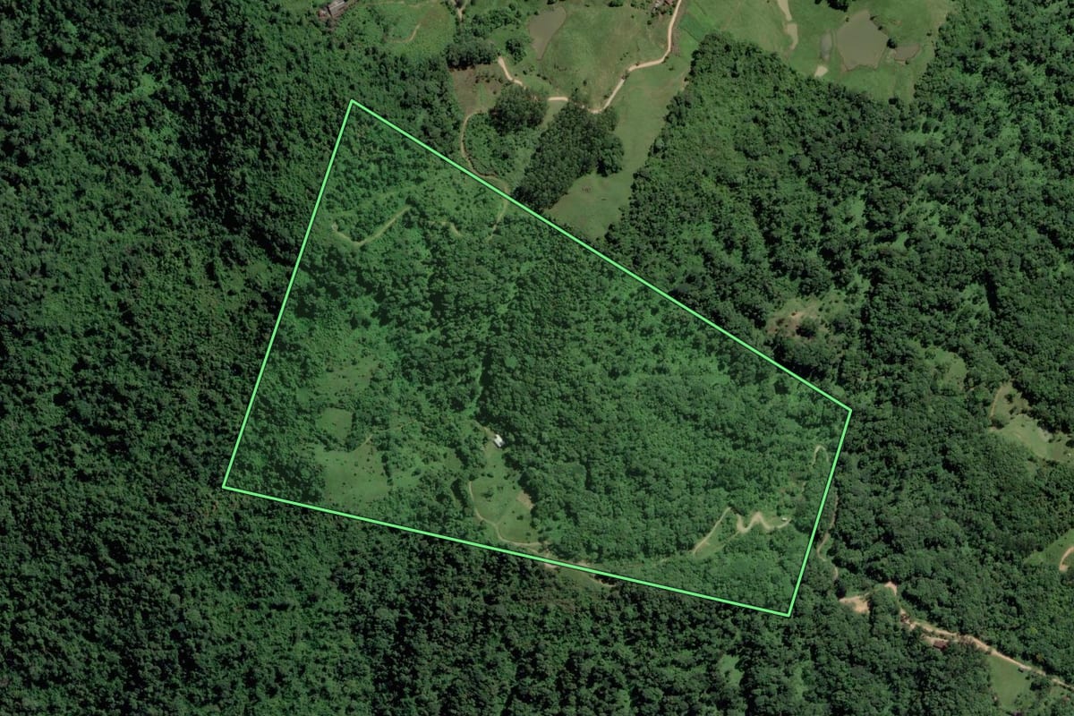 Imagem de satélite do imóvel rural em Pomerode (SC), com o contorno declarado no CAR desenhado por cima.