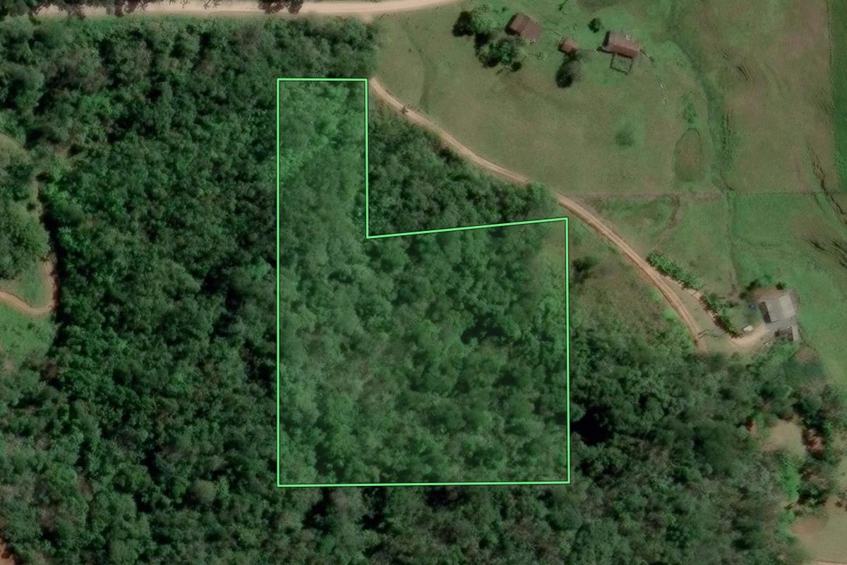 Imagem de satélite do imóvel rural em Pomerode (SC), com o contorno declarado no CAR desenhado por cima.