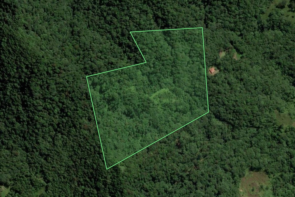 Imagem de satélite do imóvel rural em Pomerode (SC), com o contorno declarado no CAR desenhado por cima.