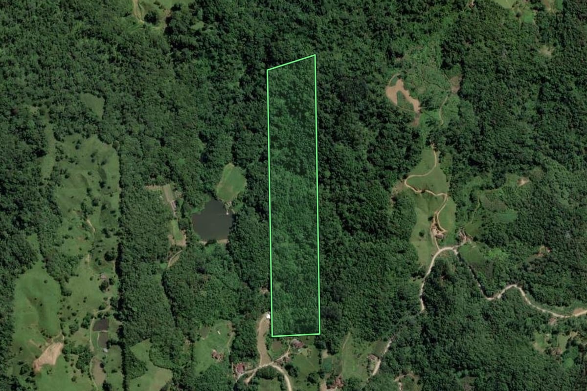 Imagem de satélite do imóvel rural em Pomerode (SC), com o contorno declarado no CAR desenhado por cima.