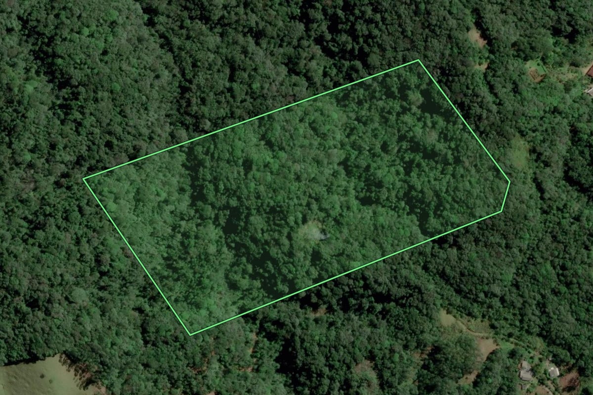 Imagem de satélite do imóvel rural em Pomerode (SC), com o contorno declarado no CAR desenhado por cima.
