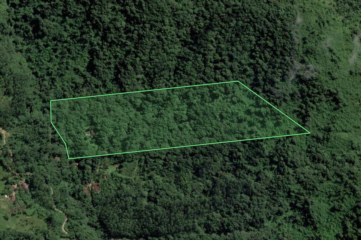 Imagem de satélite do imóvel rural em Pomerode (SC), com o contorno declarado no CAR desenhado por cima.