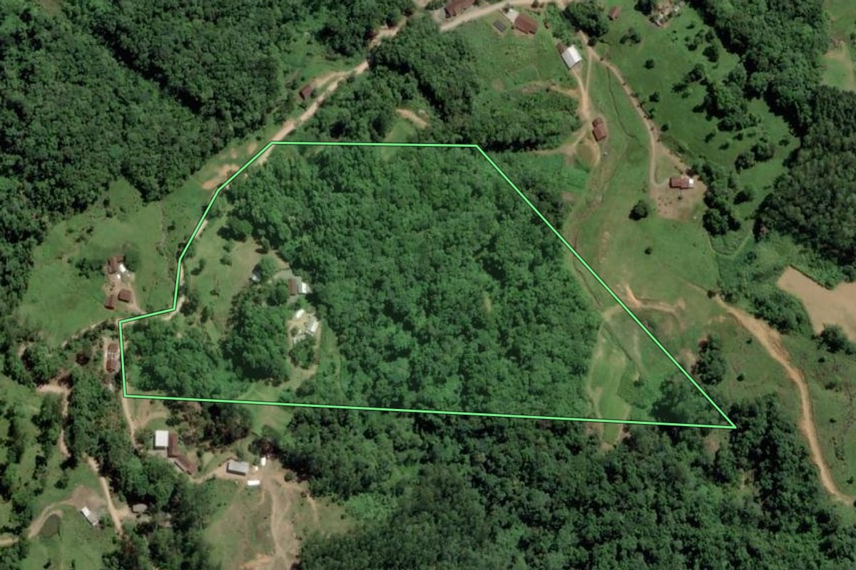 Imagem de satélite do imóvel rural em Pomerode (SC), com o contorno declarado no CAR desenhado por cima.