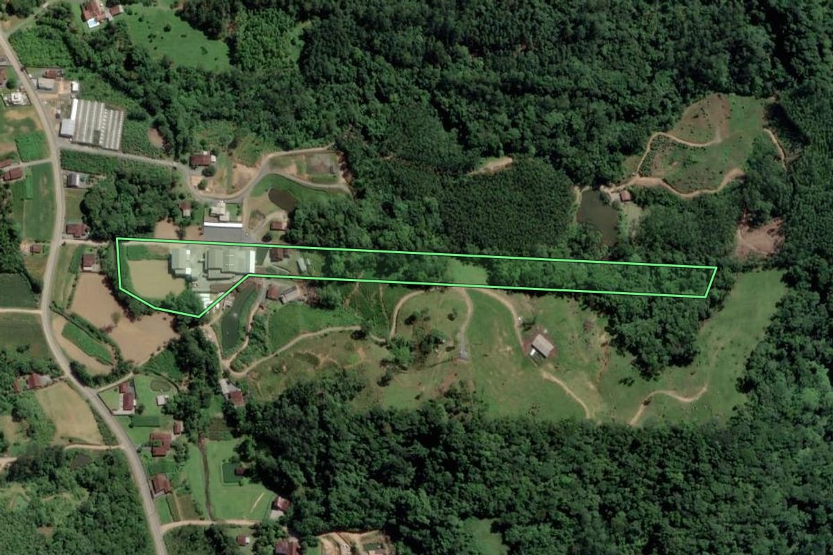 Imagem de satélite do imóvel rural em Pomerode (SC), com o contorno declarado no CAR desenhado por cima.