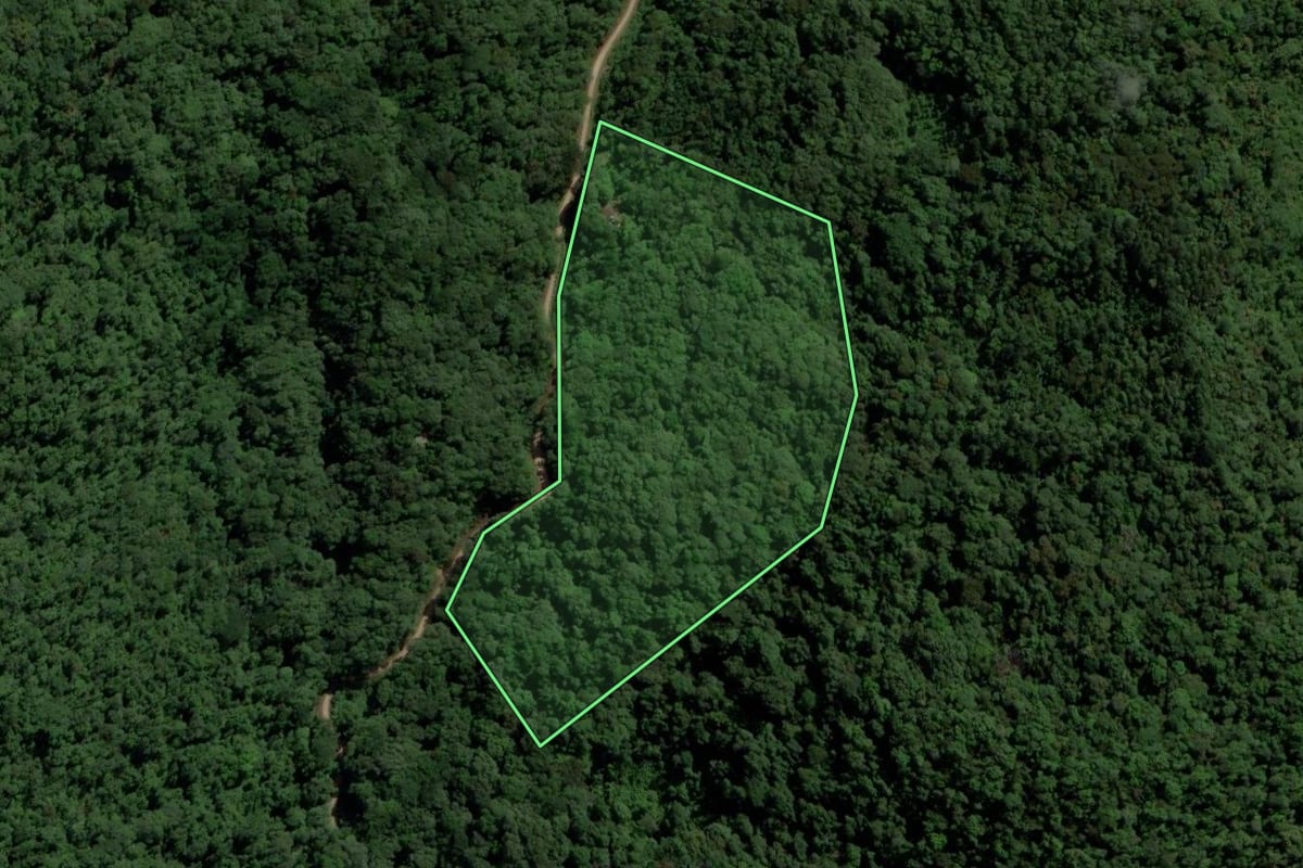 Imagem de satélite do imóvel rural em Pomerode (SC), com o contorno declarado no CAR desenhado por cima.