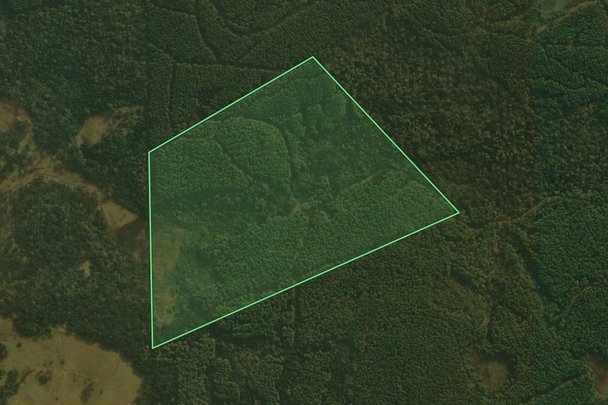 Imagem de satélite do imóvel rural em Ponte Alta (SC), com o contorno declarado no CAR desenhado por cima.