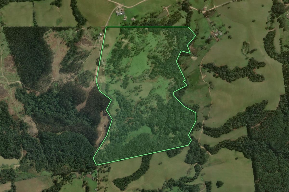 Imagem de satélite do imóvel rural em Ponte Alta (SC), com o contorno declarado no CAR desenhado por cima.