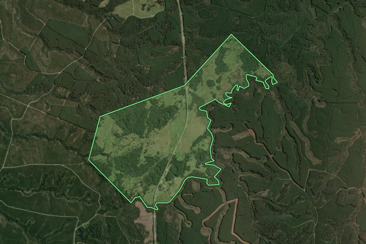 Imagem de satélite do imóvel rural em Ponte Alta (SC), com o contorno declarado no CAR desenhado por cima.